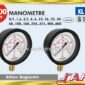 precision-pressure-gauges-o-100-mm