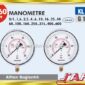 pressure-gauge-liquid-filled-precision-o-160-mm